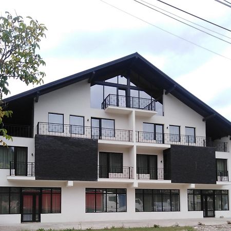Danifeld Inn Voronet Zewnętrze zdjęcie