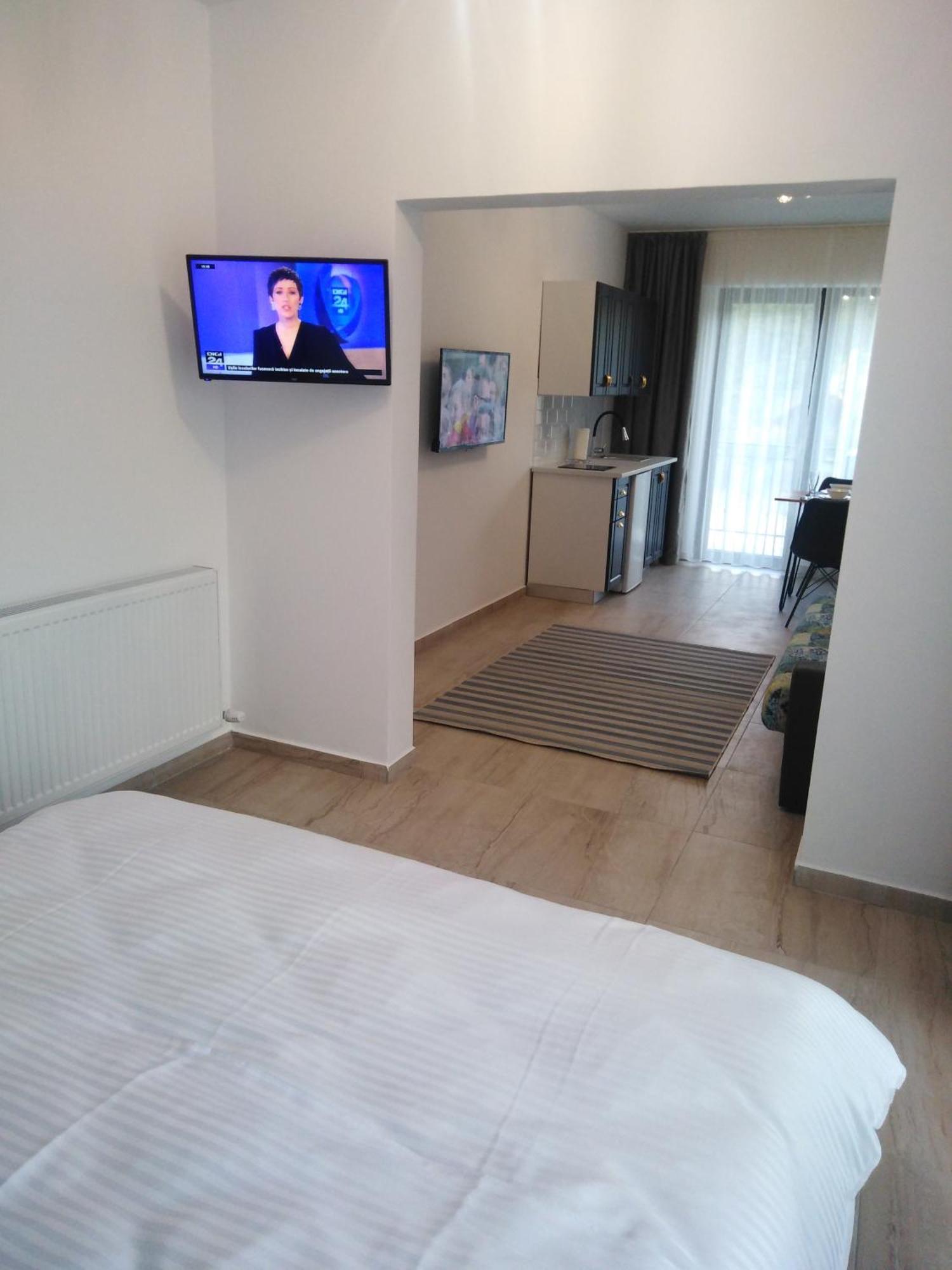 Danifeld Inn Voronet Zewnętrze zdjęcie